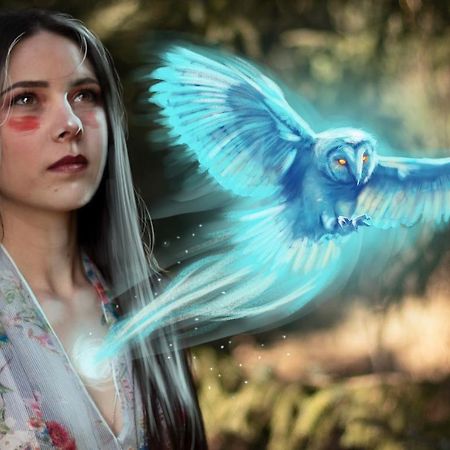 ホテル The Sleepy Owl フォートフランシス エクステリア 写真
