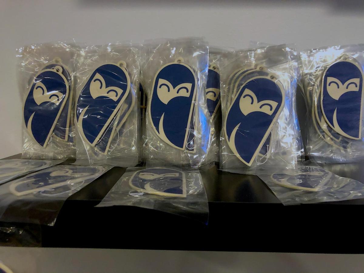 ホテル The Sleepy Owl フォートフランシス エクステリア 写真