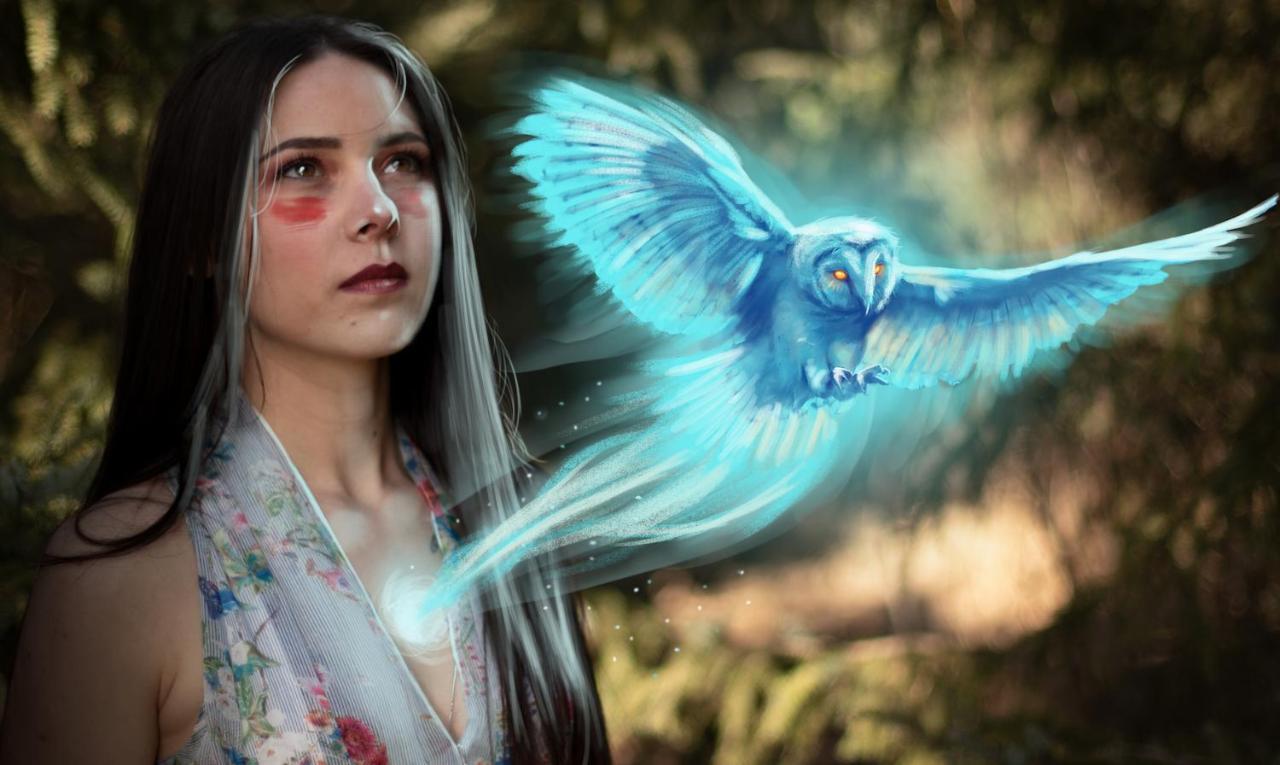 ホテル The Sleepy Owl フォートフランシス エクステリア 写真