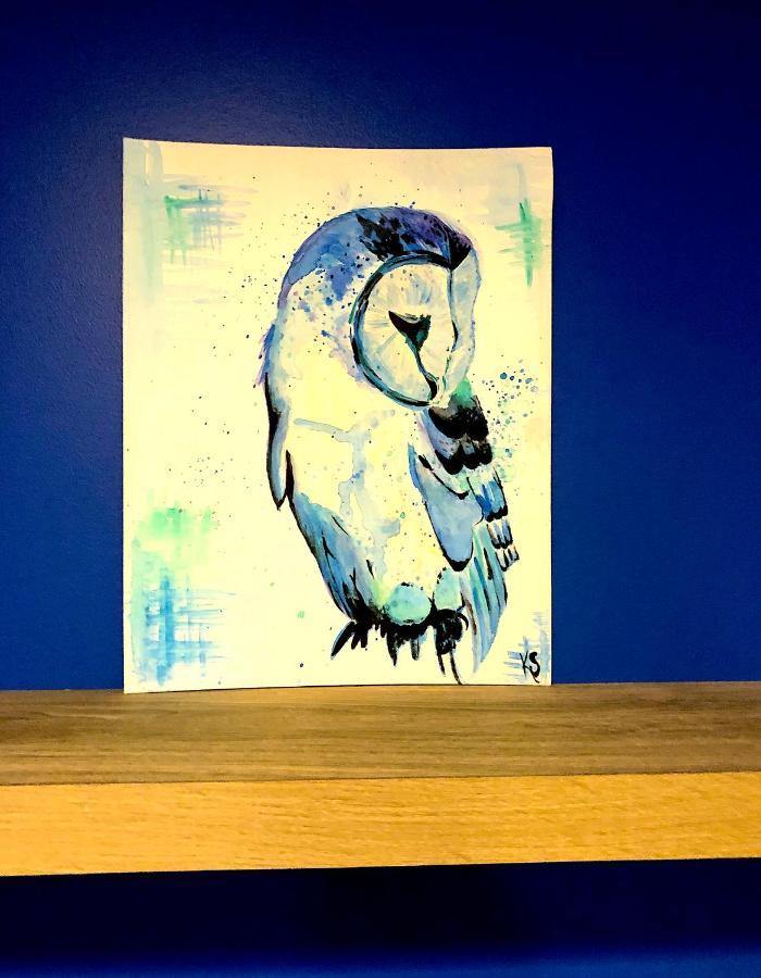 ホテル The Sleepy Owl フォートフランシス エクステリア 写真